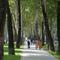 Poseben čar dajejo Dušanbeju  številni drevoredi. (foto: O.P.)