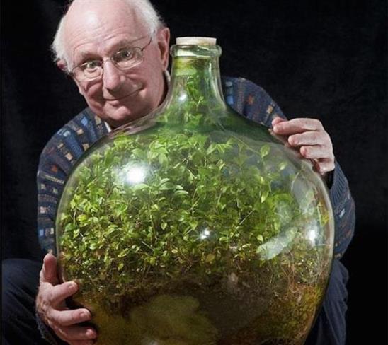 David Latimer in njegova rastlina v steklenici. (foto: www.boredpanda.com)