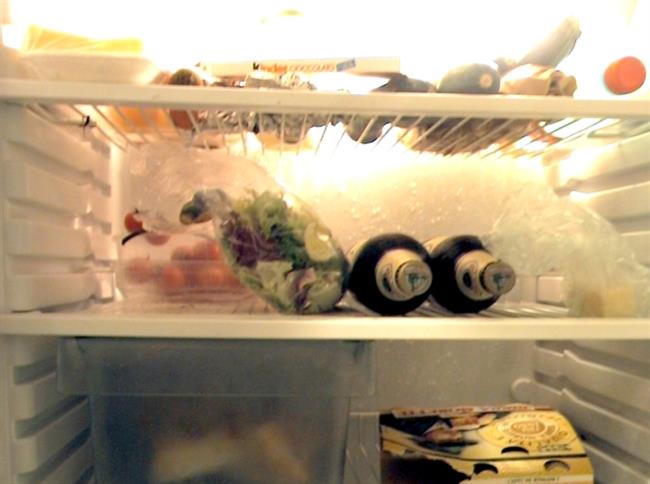 Kakšno hrano imate v hladilniku? (foto: www.sxc.hu)