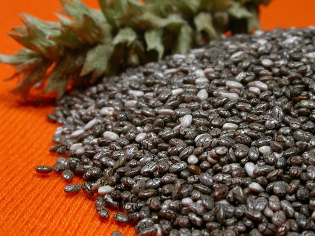 Chia semena spadajo med zelo zdravo hrano. (foto: www.sxc.hu)