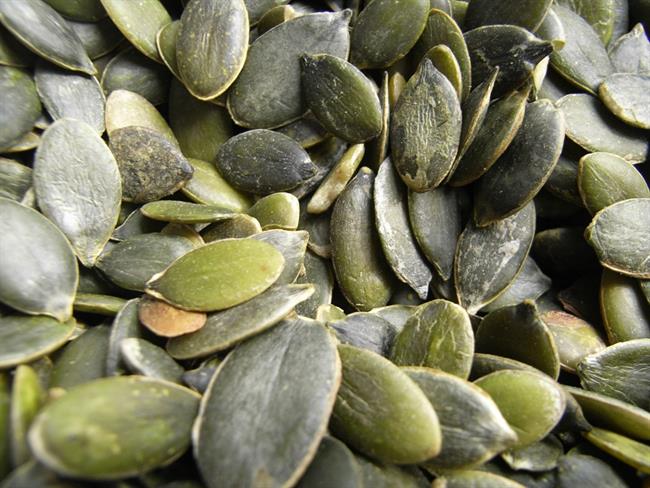 Med najbolj zdrava spadajo tudi bučna semena. (foto: www.sxc.hu)