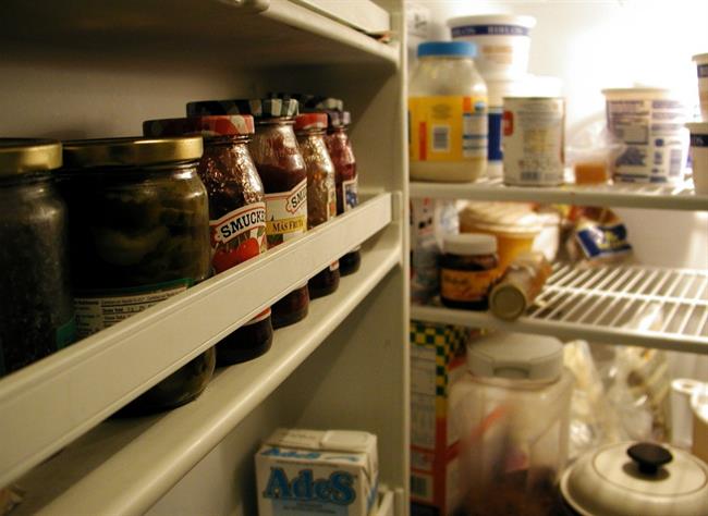 Kaj se skriva v vašem hladilniku? (foto: www.sxc.hu)