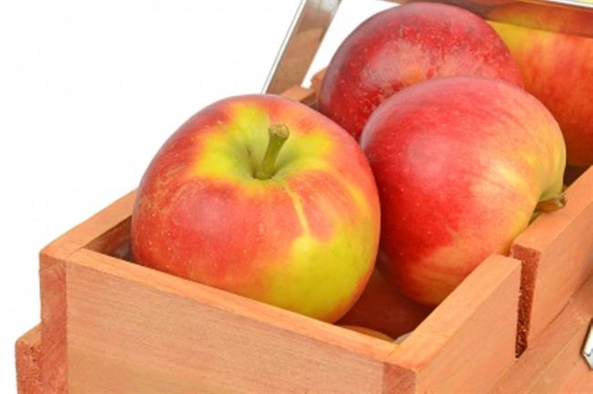 Jabolka pomagajo pospešiti metabolizem. (foto: FreeDigitalPhotos.net)