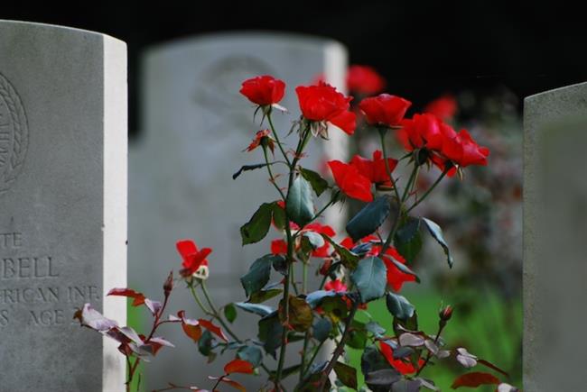 Prvi november je dan spomina na mrtve. (foto: www.sxc.hu)