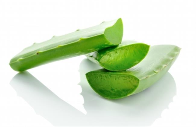 Aloe vera je zelo zdravilna rastlina. (foto: FreeDigitalPhotos.net)