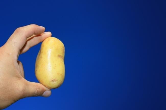 Krompir je zdrav. (foto: FreeDigitalPhotos.net)