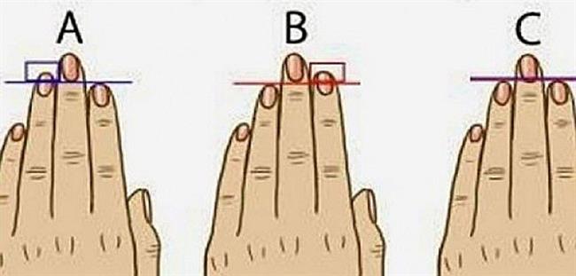 Kako dolgi so vaši prsti?