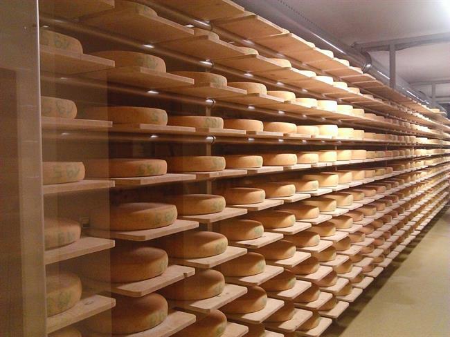 Zorenje sira v sirarni Naturkase.