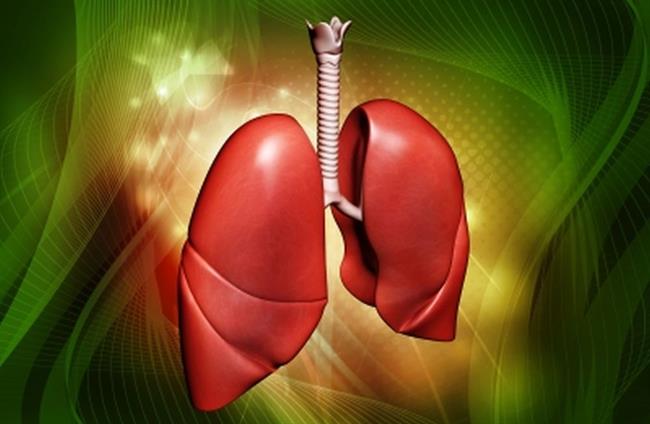 Tveganje za pnevmokokno pljučnico se pri starejših močno poveča. (foto: FreeDigitalPhotos.net)
