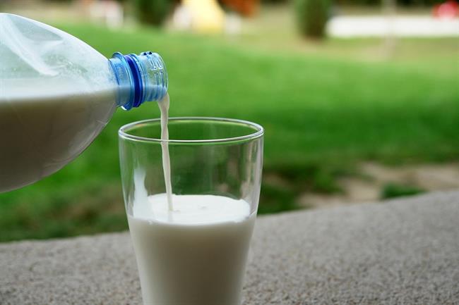 Človek je edini sesalec, ki vse življenje pije mleko.  (foto: pixabay)