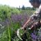 Irma Dolinar med svojimi rastlinami. (foto: osebni arhiv)