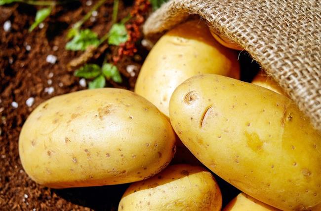 Krompir ne redi, če ga pripravljate na zdrav način. (foto: pexels.com)