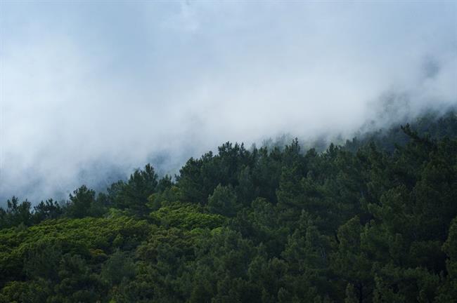 Danes bo na Primorskem in v gorah precej jasno, drugod bo zmerno do pretežno oblačno. (foto: pexels.com)