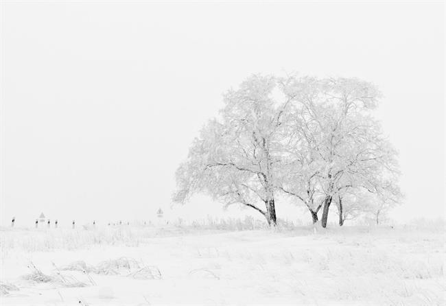 Danes zjutraj in dopoldne bo snežilo, na Primorskem deževalo. (foto: pexels.com)
