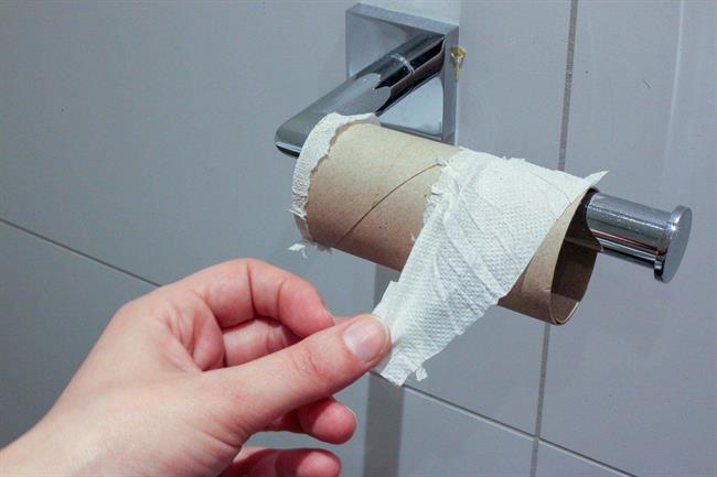 Ste porabili ves toaletni papir? (foto: pixabay.com)