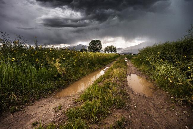 Danes dopoldne bodo krajevne padavine, popoldne se bo delno zjasnilo. (foto: pexels.com)