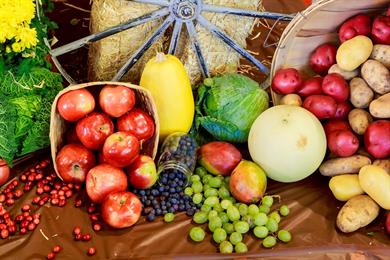 Jesenski plodovi za boljše zdravje