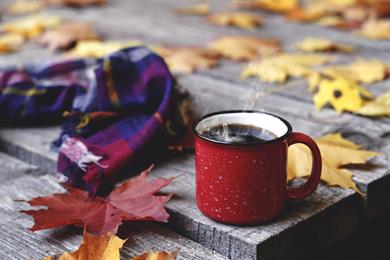 Gozdna kava: Zdravi ščitnico, anemijo, bolečine v kosteh in pomaga pri menopavzi