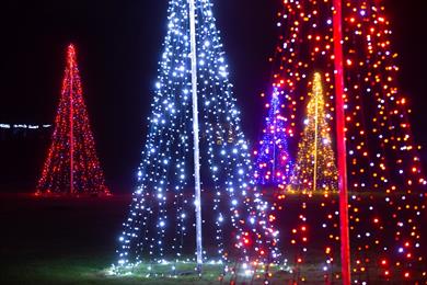 Ideja za decembrski vikend: Večerni sprehod med lučkami v Arboretumu