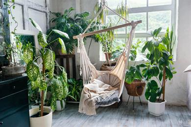 Imate doma strupene rastline?