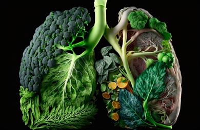 5 živili, ki čistijo pljuča in dihalne poti