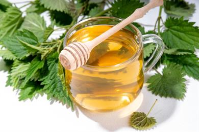 3 bolezni, ki jih uspešno zdravi kopriva