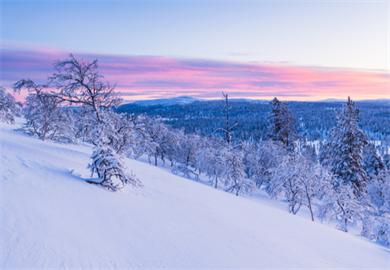 Astrološka napoved po znamenjih: Kaj vas čaka ta teden (24. - 30. 11. 2025)?