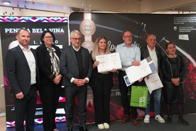 Na 27. Slovenski festivalu vin podeljena priznanja 