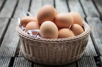 Kako lahko s pomočjo jajca preprečite eno najhujših bolezni?