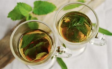 Kateri čaji in napitki čistijo telo in pomagajo pri izgubljanju odvečnih kilogramov?