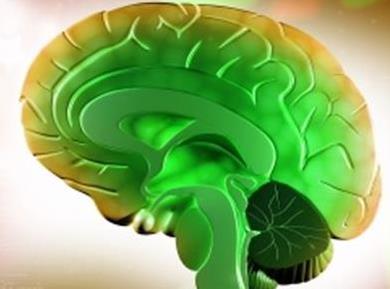 Epilepsija – najpogostejša nevrološka motnja